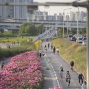 중랑역사및1,4번출구사이 이미지