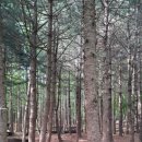 숨길+ 쉼길+ 순례길 이미지