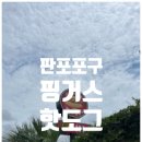 핫도그(Hot dog) | 제주 판포포구 맛집 핑거스핫도그(Fingers Hotdog) 내돈내먹 후기