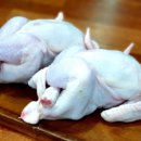 달기삼계탕 이미지