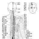 심포회수산 네이버블로그