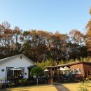 카페하애 이미지