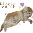 현대민화 쉽게 그리기 이미지