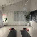 요가강좌 | [서울/강남] 논현동 요가 추천, 언주역 요가, 내돈내산 6개월 등록후기 :하리요가