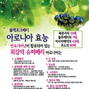 땅끝아로니아