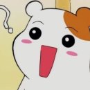 헤어31