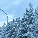 학마을도서관 | 도봉구 학마을도서관, 눈 펑펑 오는 날, 관계의 즐거움_감정디자인 강의 후기