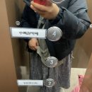 엔젤인어항 이미지