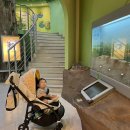 판교환경생태학습원 이미지