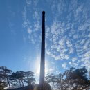 순천-55호 이미지