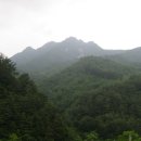 매봉산 티스토리