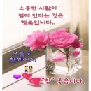 제일까치샘아파트 이미지