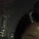 시영맛나김밥 | 다이어트 할 결심