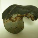 긴머리 소녀 이미지