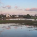 용수길 114 이미지