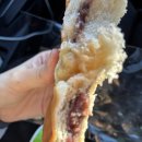 베토벤보청기 | 독일 입국 D+159~161(본 카를스르에 슈발츠발트 바덴바덴 슈투트가르트 뭔헨)