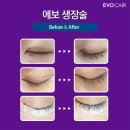 주식회사 킹케어 이미지