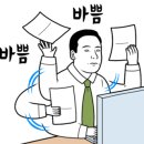 고성앵글