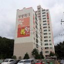 꽃대나리로 이미지