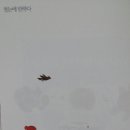 2월21일 (토) - 첫눈에 반하다 / 1cm 이미지