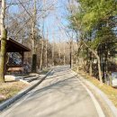 이천시 설봉공원 테니스장 이미지