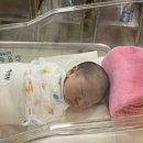 인정병원 이미지