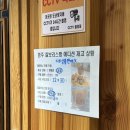 팝스토어 건천점 | 황리단길 소품샵 미피스토어 경주 찰보리스빵 석굴암 에디션 내돈내산 후기