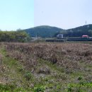 불은면사무소 이미지