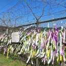 (사)전국장애인부모연대 경기지부 오산지회 | “교황 레오 14세 방북” 환영과 ‘교황의 DMZ 방문 및 평화메시지’ 희망하는 63개 시민사회 단체 공동...