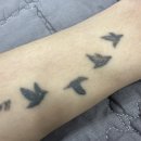 내포메디컬의원 네이버블로그