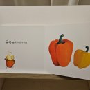 꿈꾸는 공간 | 돌아기전집 꿈꾸는 솜사탕 후기! 시기, 가격, 세이펜여부