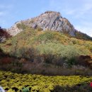 주왕산관광지(민예촌) 이미지