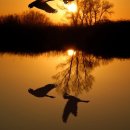 (주)경안 이미지