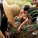 승현개발 이미지