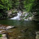 성민행정사사무소 이미지