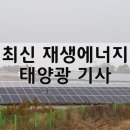 태양광 정조준 롯데이네오스화학 초산비닐 공장 증설 기사 이미지