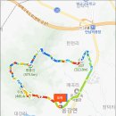 비조