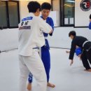 늘푸른1길 | 팀레드비 우리주짓수 후기 | 천안 두정동·백석동·성정동 주짓수 입문, 혼자 와도 괜찮았던 이유