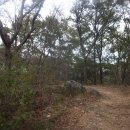 [광주 광산구]광주여대~동자봉~어등산 석봉(338m)~등용정~농악전수관~광주여대 다녀오기(23/10/22/일/오후) 이미지