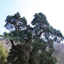 제76차 전라남도 승주 조계산 산행 및 예약 이미지