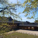 베니스안경 이미지