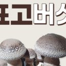 해오름농장 3 이미지