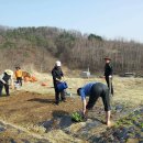 종삼농장 이미지