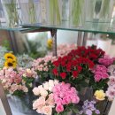 덕산그린피아상가 | 색감부터 응대까지 만족스러웠던 창원공단꽃 그린피아꽃집 이용 후기