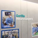 고릴라신경외과의원 이미지