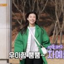 팔남매만두 이미지