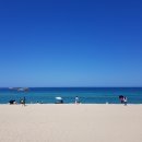 전나무목장 이미지