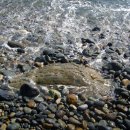 자갈마당 이미지