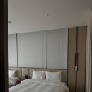 소노펠리체 델피노 이미지
