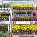 우림가든 이미지